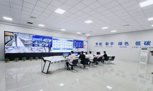 一座工廠的突圍之路 大連電瓷副董事長兼總經(jīng)理應(yīng)瑩庭與百年絕緣子企業(yè)的轉(zhuǎn)型智慧