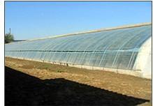 生態 農業 工程建設的公司請選擇青州市憶美園林溫室,生態 農業 工程建設的公司請選擇青州市憶美園林溫室生產廠家,生態 農業 工程建設的公司請選擇青州市憶美園林溫室價格